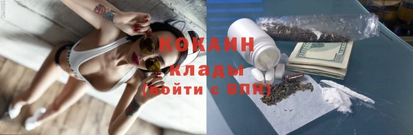 дживик Алзамай