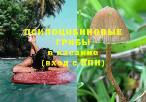 дживик Алзамай